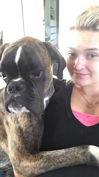 Mangler aktiviteter til hunden