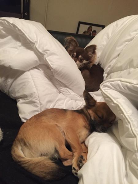 Fantastiske fremskridt!!