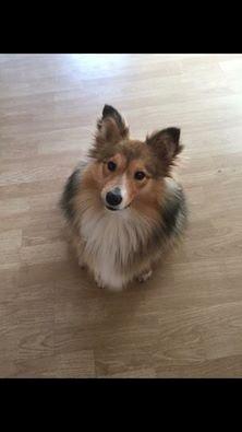 Lige en efterl. mere 