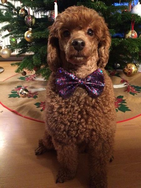 Den obligatoriske "hvem kommer" tråd :D