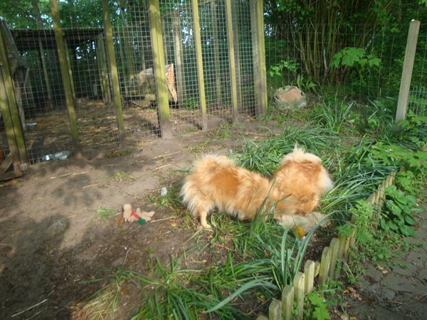 uuuuhhhuuulvetid igen....igen