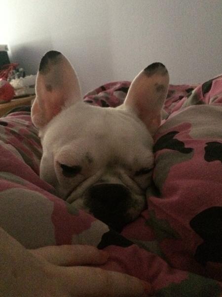 Ny sterilliseret, mælk i babserne?