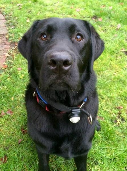 Kalder  Holmegård, Haslev, Rønnede, Næstved området