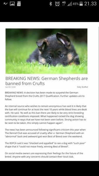 Crufts er det en and? 