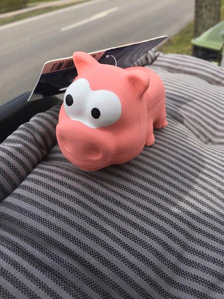 Forsinket fødselsdagsgave