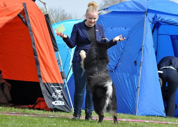 Udstilling i Køge, DKK