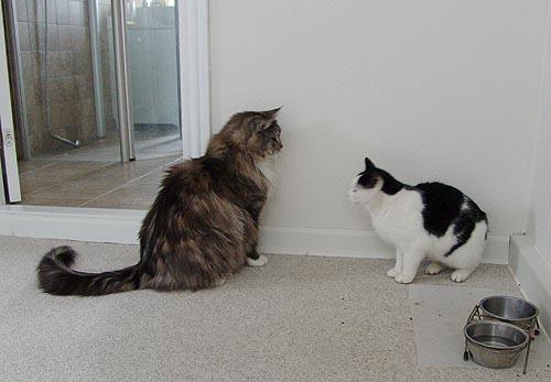 Pyyyh, så blev man lige 1500 kr. fattigere...