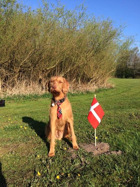 Hurra - Ingle 3 år <3