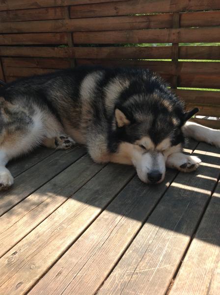 Gode tilskud til gigt