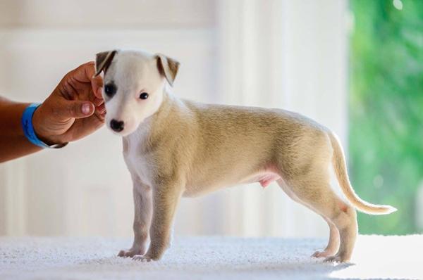 Hvordan kan man være SÅ lækker??