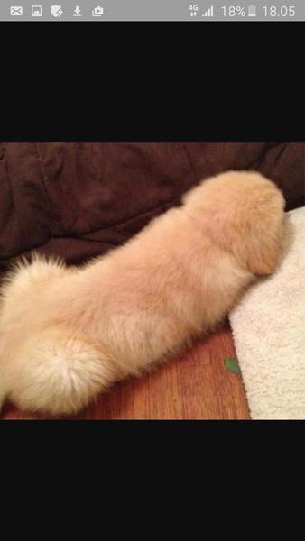 har du beskidt tankegang? 