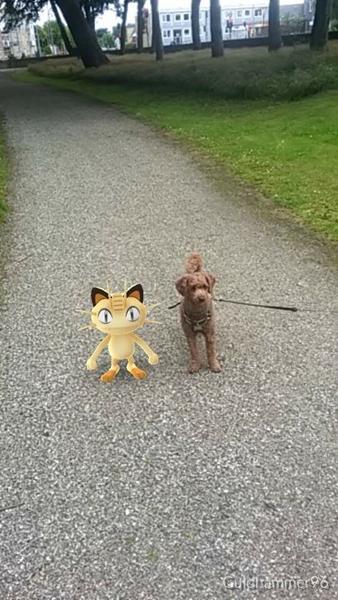 Pokemon GO