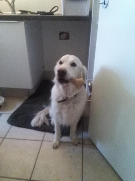 Silke/brøndslevs cameron diaz