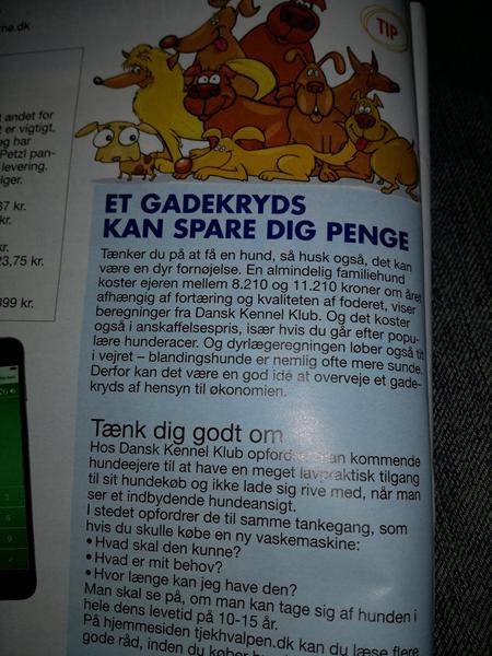 Et gadekryds kan spare dog penge