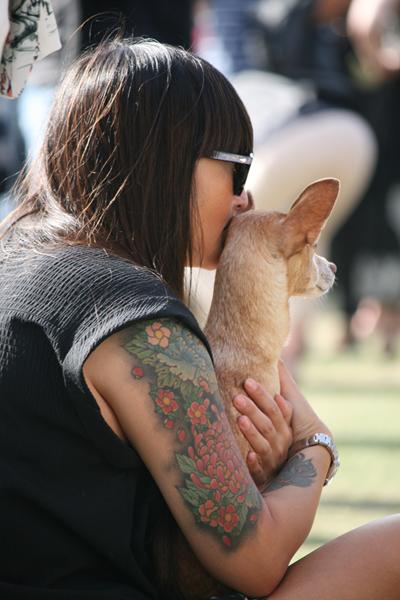 var du i Tivoli med din hund?