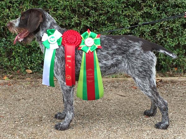 Kalder alle Bornholmere