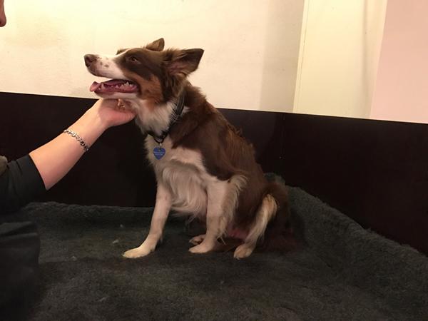 Ediths fødselstråd