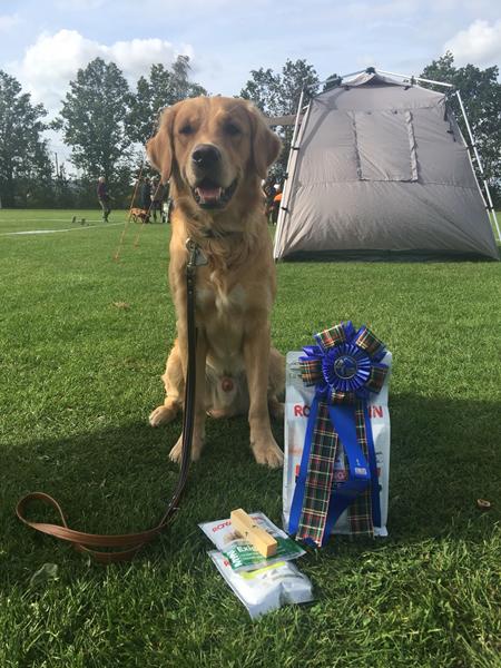 Dansk Kennel Klub, Rally prøve i Sorø Hallen.