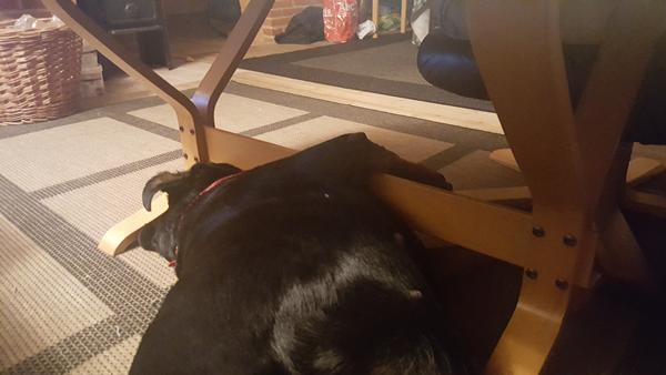 vi er lidt trætte idag..