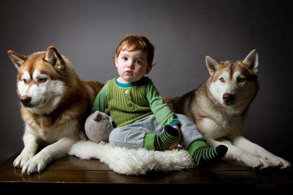 Ny medejer af kennelmærke og hunde