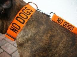 Fed side med feks. FRIENDLY eller CAUTION halsbånd oa.