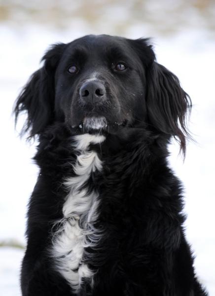 Må lige dele en succes med jer.. :)