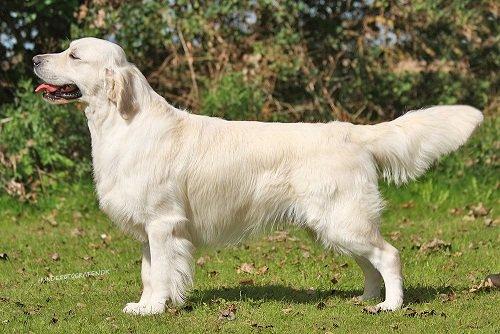 luk vinduet op... pral masser af det