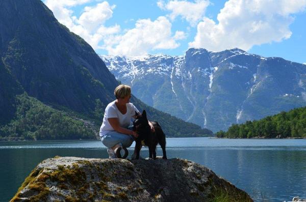 Norsk buhundtæve søger ny makker