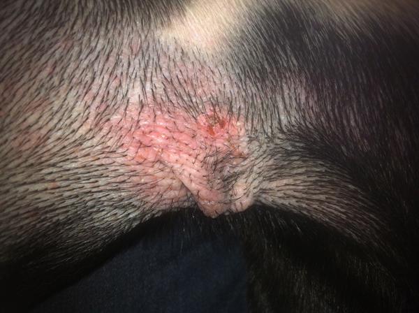 HJÆLP, er det hotspot eller?