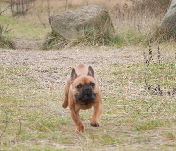 Fuld fart.. Råd søges!