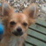 søger fotograf omkring rødovre