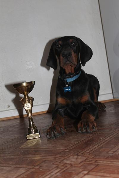 Super resultater med Choko, Caro og Baby