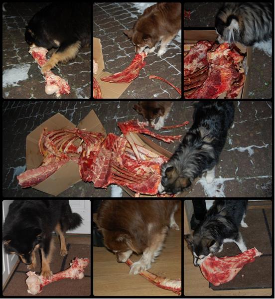 Så er det dømt Torsdags-hygge ;)