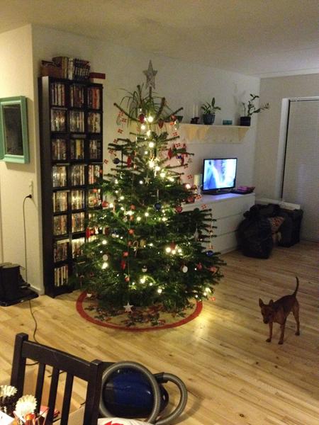 Årets juletræ :-D
