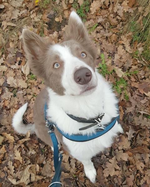 Træning nær Aalborg 