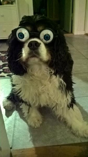 Happy New Year to all.