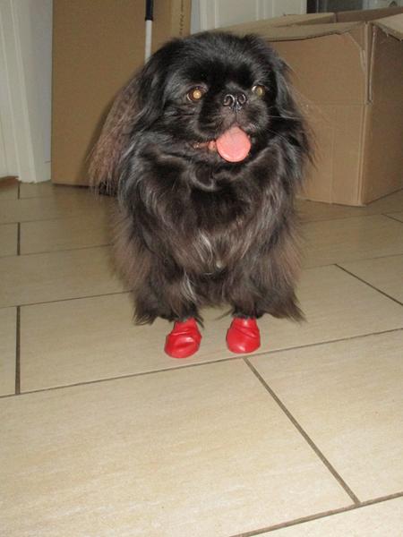 Benbeskyttere til sne