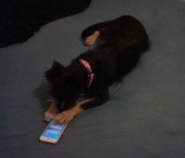 Melanie skriver hjem til Portugal <3