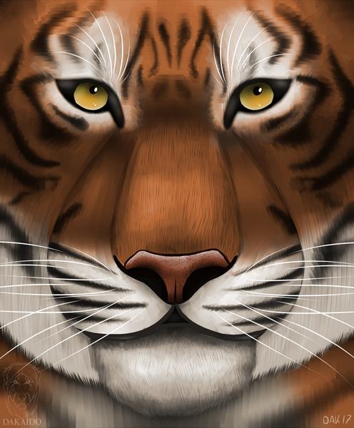 Søger arkitekpraktikplads - HASTER!