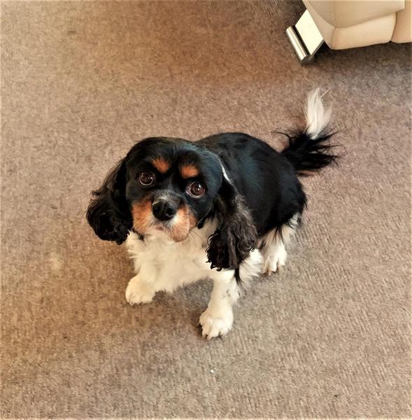 Agersbøl`s  Isabella , familie ? 