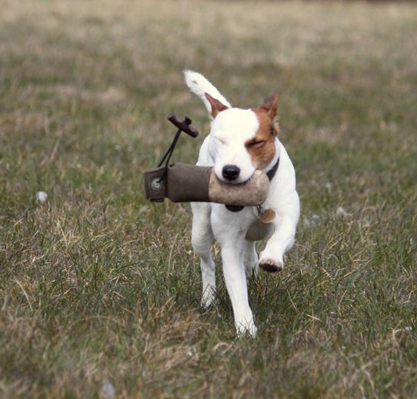 Ligge mellem to hold med ukurant race