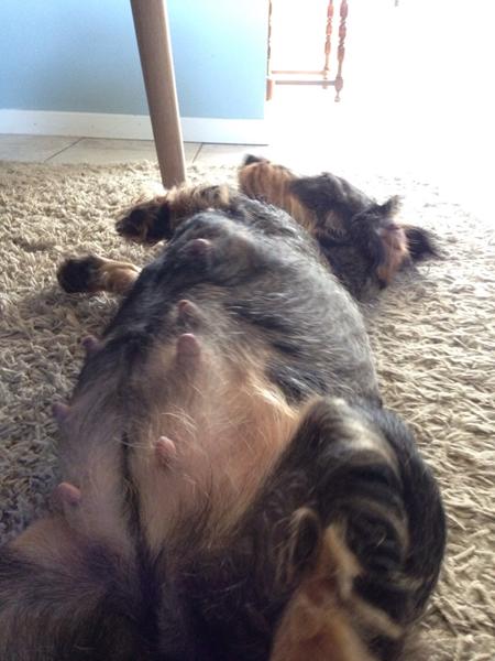 Dag 61. Der sker ikke en skid...