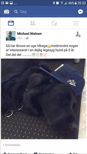 akut hjælp!