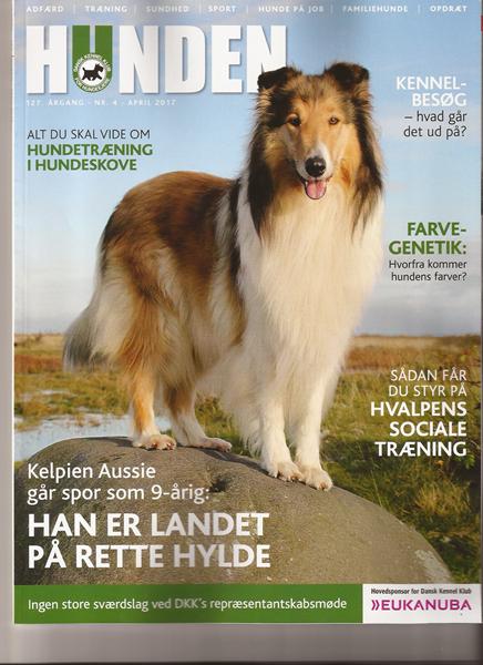 Forsidemodel på HUNDEN