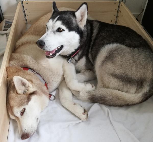 Nu nærmer vi os (fødselstråd)