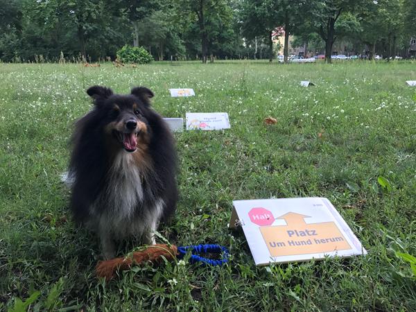 Fif til den lidt for kloge konkurrencehund