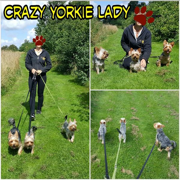 Til de nysgerrige...  (crazy yorkie lady).