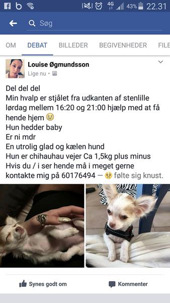 STJÅLET HUND IGEN 