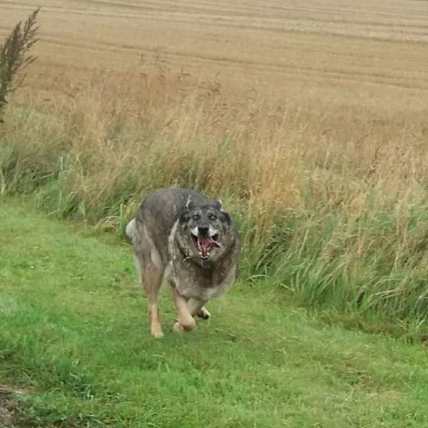 Spontan tur med mine elskede piger <3