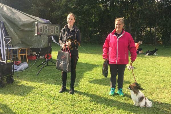 Blær - kamprotten vandt agility og spring